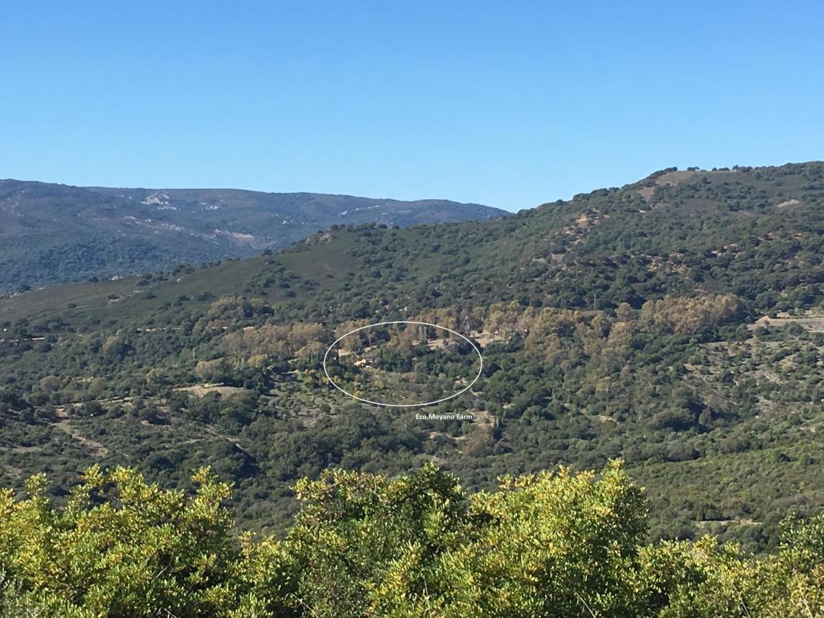 Gaucín Eco Moyano Posada מראה חיצוני תמונה