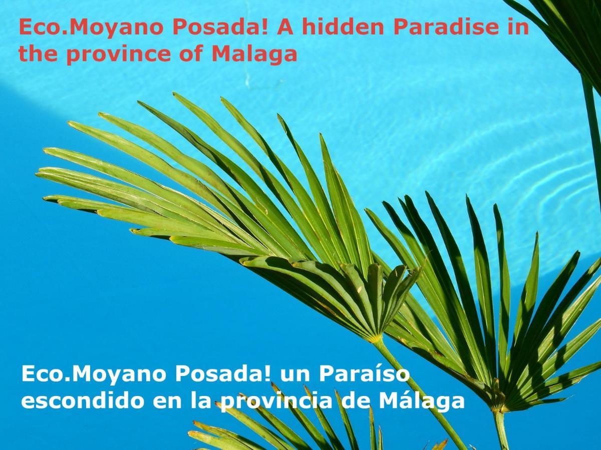 Gaucín Eco Moyano Posada מראה חיצוני תמונה
