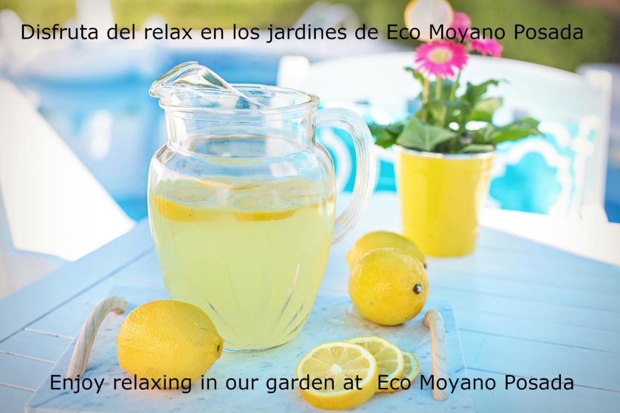 Gaucín Eco Moyano Posada מראה חיצוני תמונה