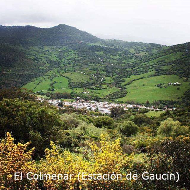 Gaucín Eco Moyano Posada מראה חיצוני תמונה