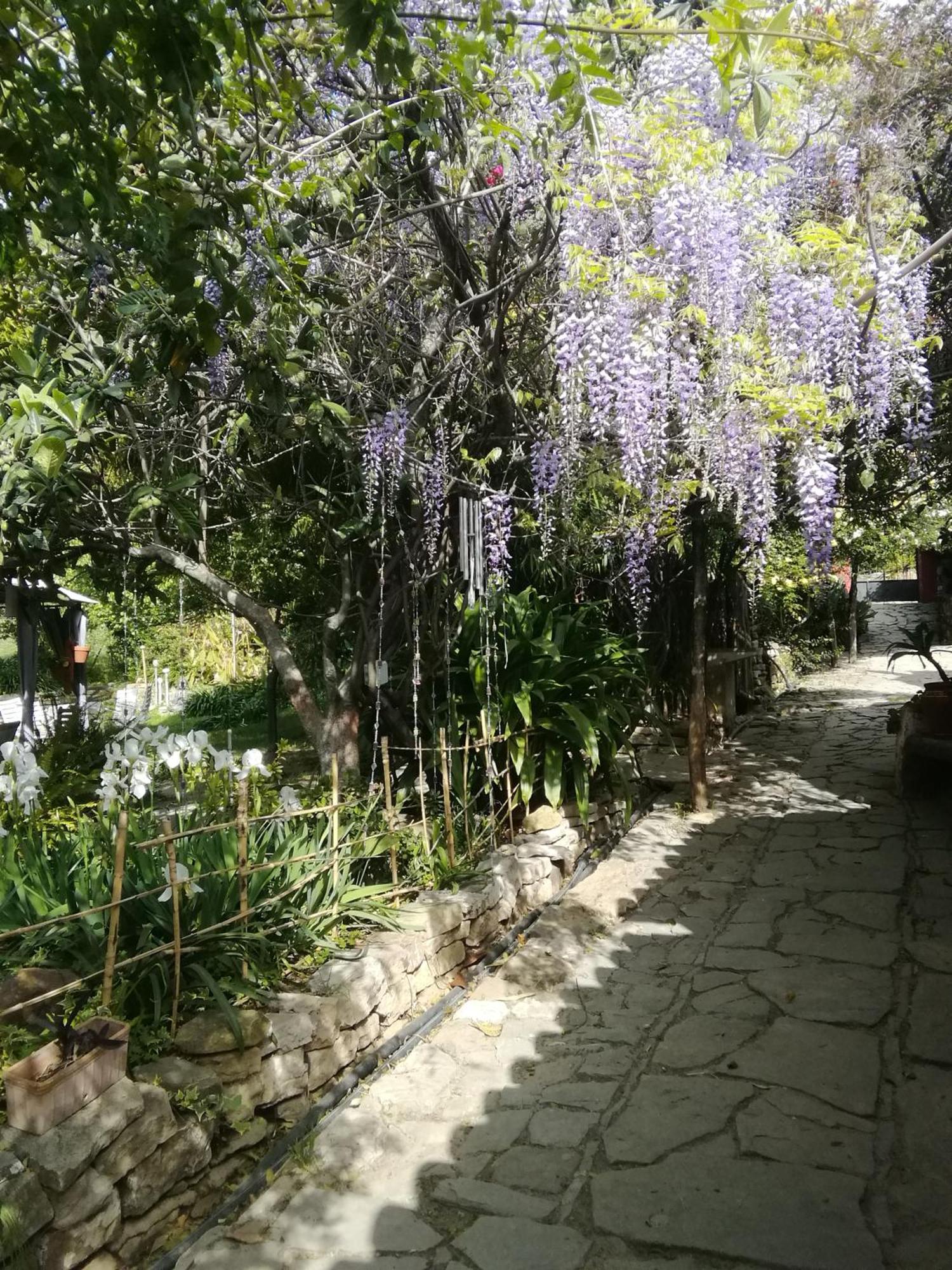 Gaucín Eco Moyano Posada מראה חיצוני תמונה