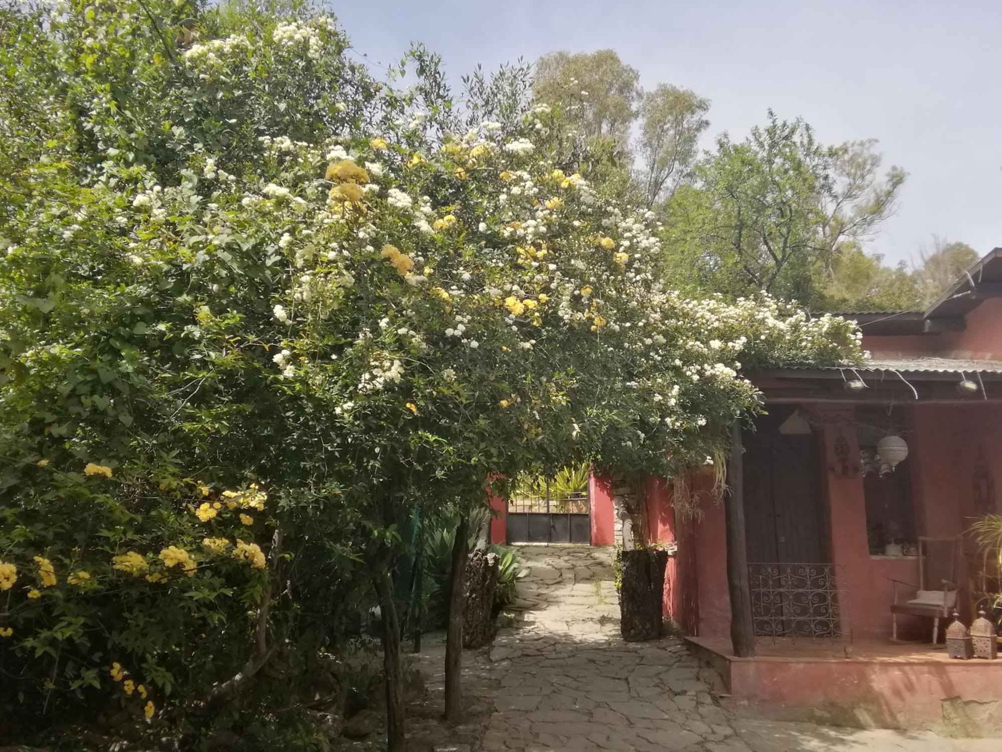 Gaucín Eco Moyano Posada מראה חיצוני תמונה