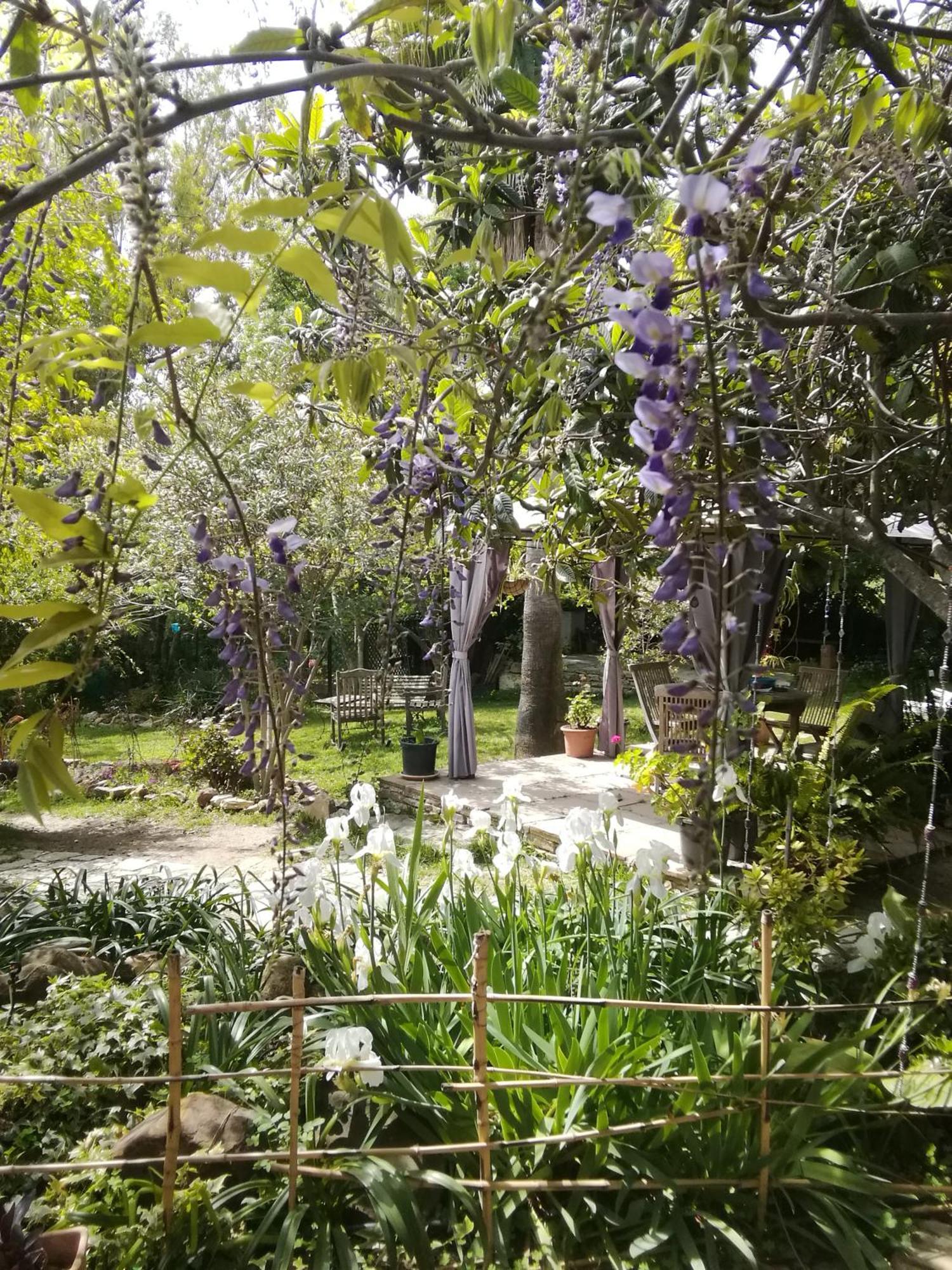 Gaucín Eco Moyano Posada מראה חיצוני תמונה