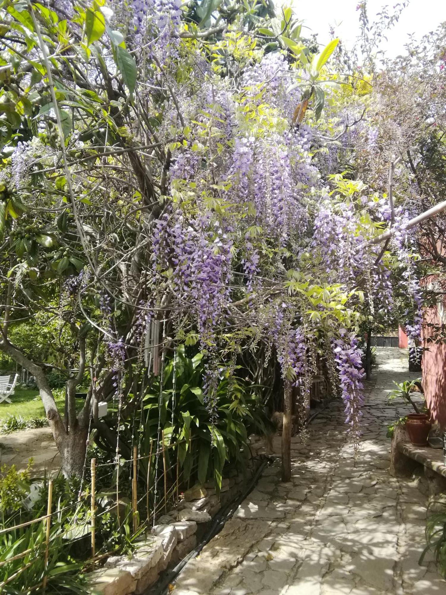 Gaucín Eco Moyano Posada מראה חיצוני תמונה