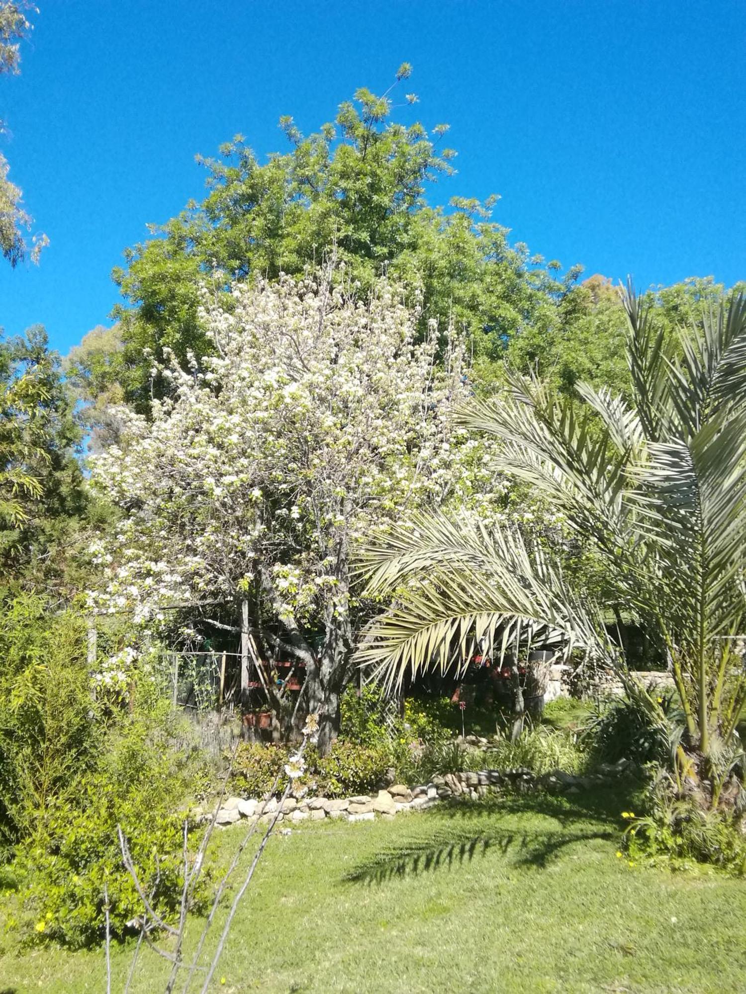 Gaucín Eco Moyano Posada מראה חיצוני תמונה