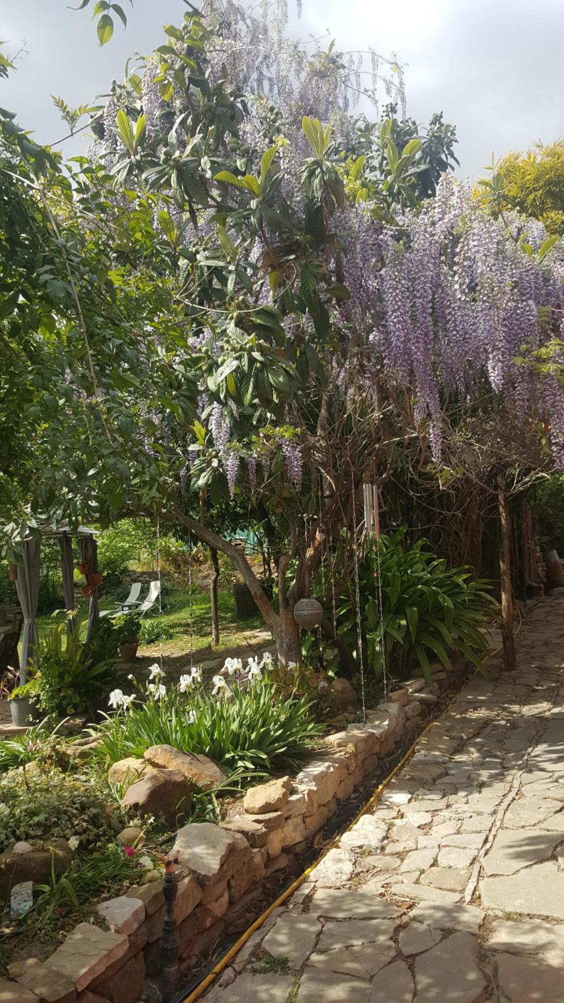 Gaucín Eco Moyano Posada מראה חיצוני תמונה